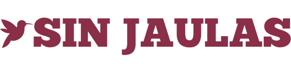 Sinjaulas