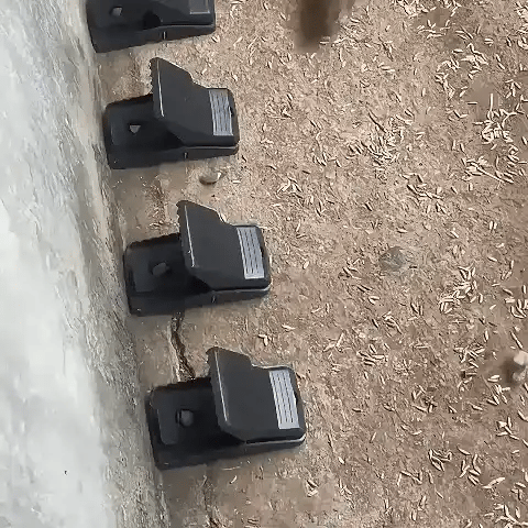 🔥Oferta 2x1: Trampas de Alta Sensibilidad🔥